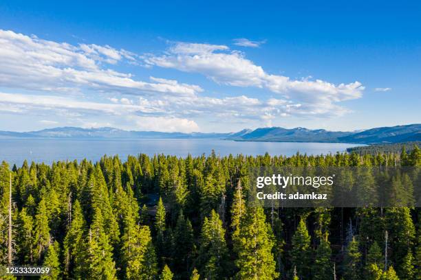 aerial image of lake tahoe in california - lake tahoe stock pictures, royalty-free photos & images