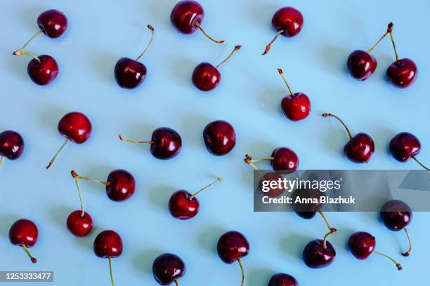 red berries of cherry on the blue background. flat lay. summer pattern of many cherries. - kirschen tisch weiß stock-fotos und bilder