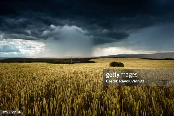 hermosa tormenta de truenos estructurada en las llanuras búlgas - tormenta de granizo fotografías e imágenes de stock