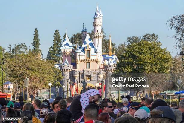 Amusement Park Queue Photos and Premium High Res Pictures - Getty Images