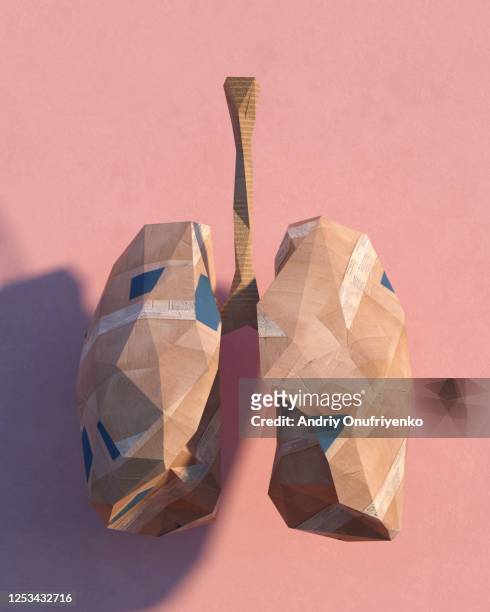 cardboard lungs - breathing new life stock pictures, royalty-free photos & images