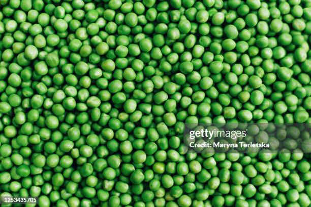 background from fresh and young green peas. - peas stockfoto's en -beelden