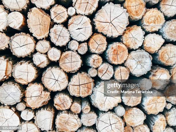 background saw cut wood of different sizes. - half ring stock pictures, royalty-free photos & images