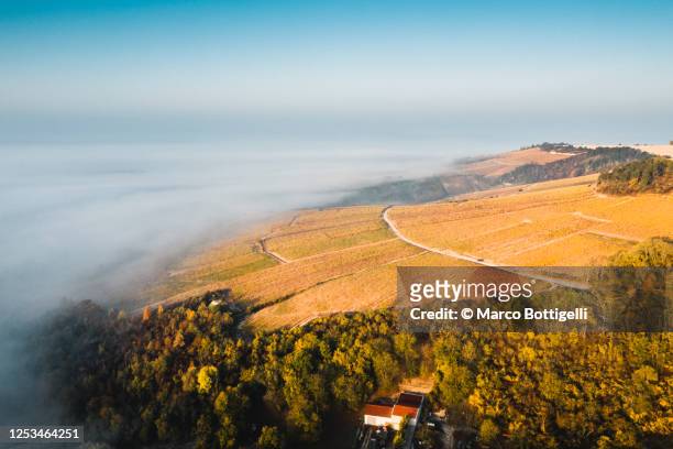 aerial view of foggy morning in the vineyards, irancy, france - yonne fotografías e imágenes de stock