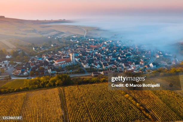 aerial view of foggy morning in the vineyards, irancy, france - bourgogne france photos et images de collection