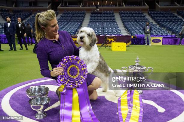 Handler Janice Hayes holds Buddy Holly the Petit Basset Griffon Vendeen after winning the Best in Show award during the Annual Westminster Kennel...