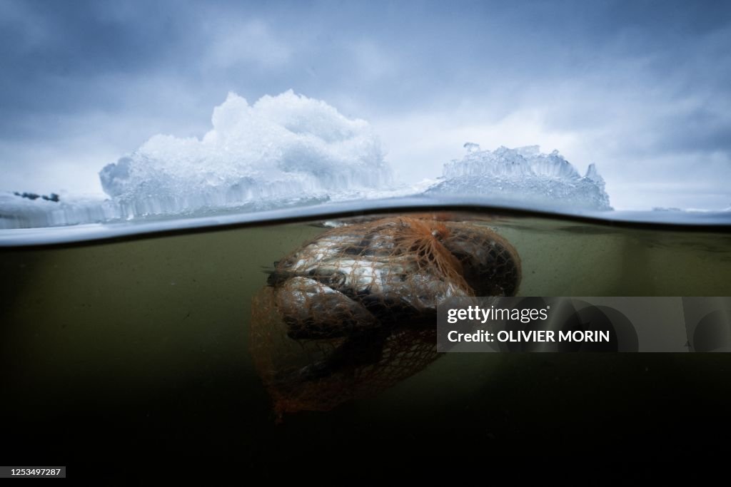 FINLAND-ENVIRONMENT-MARINE LIFE-POLLUTION-PLASTIC-France-polluti