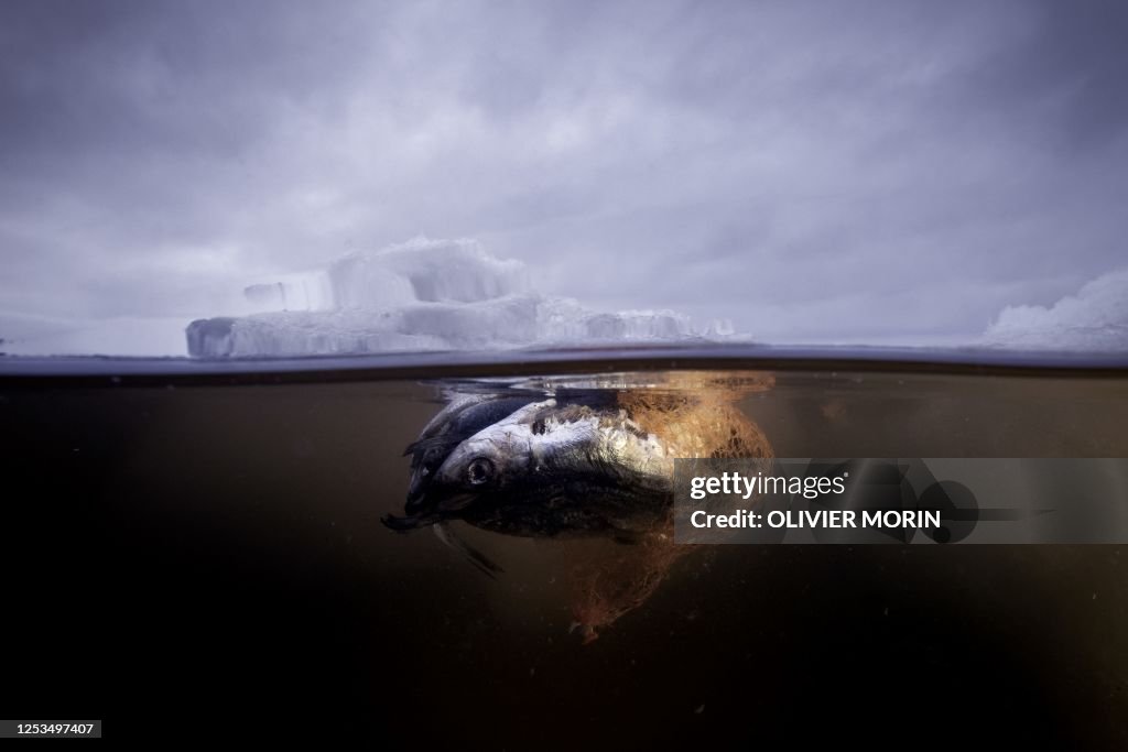 FINLAND-ENVIRONMENT-MARINE LIFE-POLLUTION-PLASTIC-France-polluti