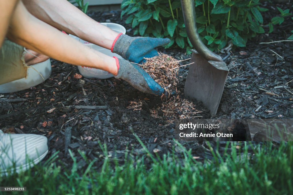 Man putting mulch into a garden