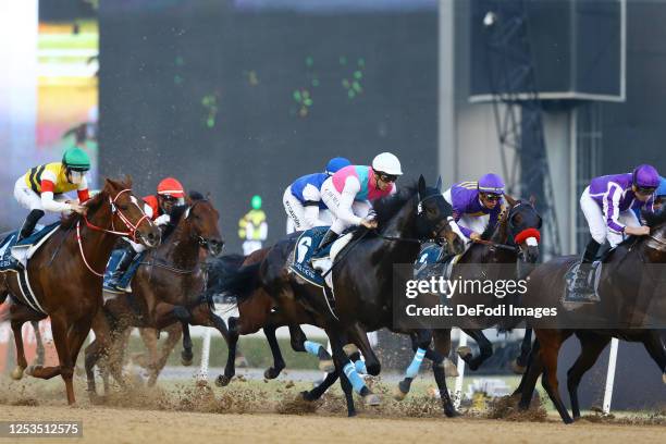 Uae Racetrack 12,889 Uae Derby Stock Photos, High-Res Pictures, and Images - Getty Images
