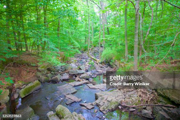 flat rock brook in palisades forest, englewood - englewood new jersey stock pictures, royalty-free photos & images