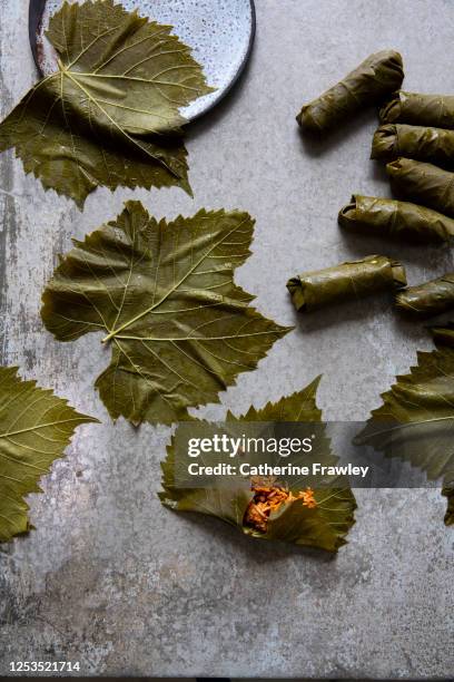 making of stuffed vine leaves, dolmades / koupepia - ドルマデス ストックフォトと画像