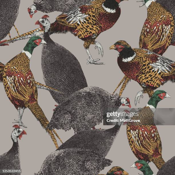 quail & pheasant bird repeat pattern - drake stock illustrations