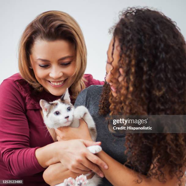 mutter und tochter streicheln ihre katze beide lächelnd - pet adoption stock-fotos und bilder