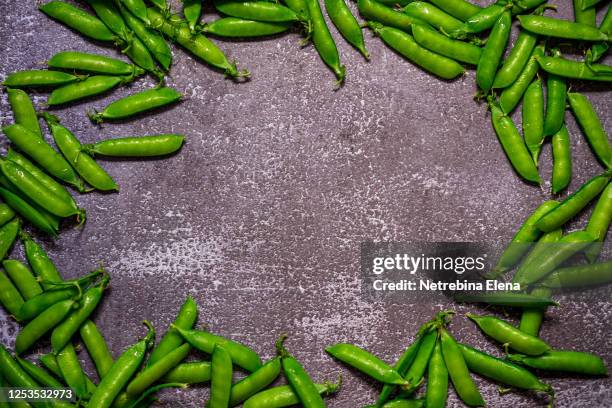 fresh ripe green peas. summer background for your design. useful vitamins. leguminous. protein - comestibles stock pictures, royalty-free photos & images