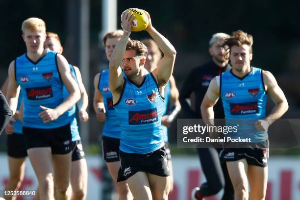 Daniel Snelling 70 Daniel Snelling Stock Photos, High-Res Pictures, and Images - Getty ...