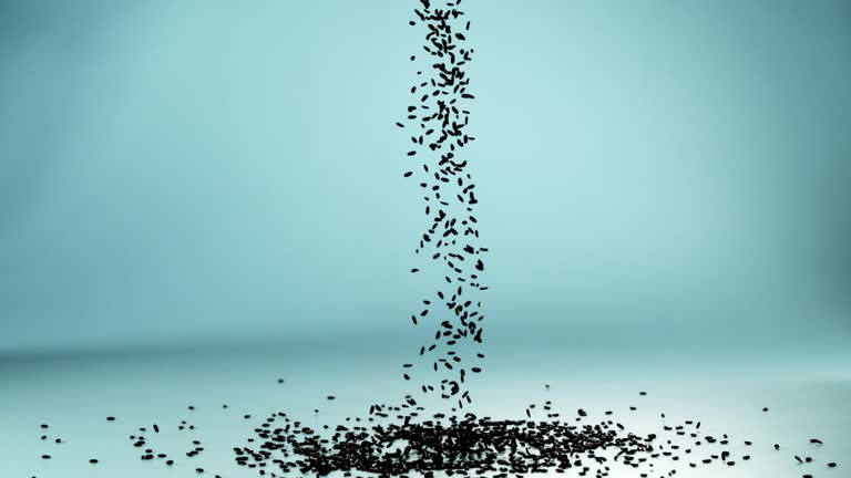 Falling Rice Stream 859 Rice Falling Stock Videos, Footage, & 4K Video Clips - Getty Images