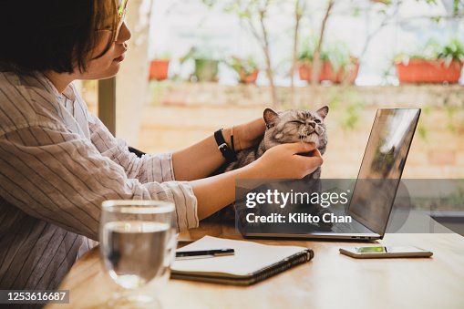 Asian woman working at home with cat by her side Asian woman working at home with cat by her side