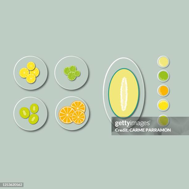 knolling with fruits - lime juice stock illustrations