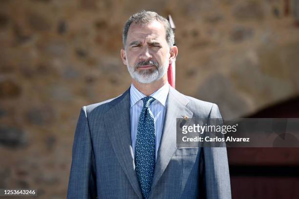 King Felipe of Spain attends a ceremony to strengthen the relationships between Spain and Portugal at Elvas Castle on July 01, 2020 in Elvas,...