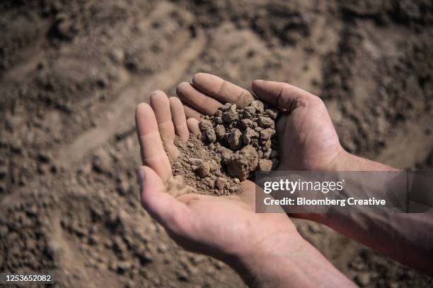 drought hit agriculture - dry foto e immagini stock