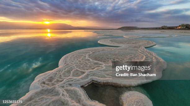 dead sea salt path - dead sea foto e immagini stock