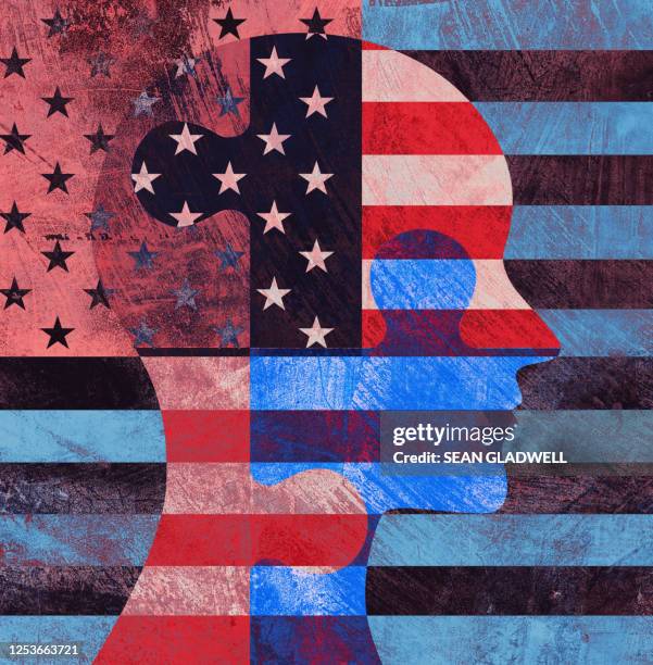 american profile illustration - american flag art imagens e fotografias de stock