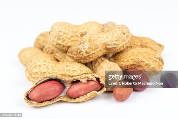 macro of peanuts pods over white background - cáscara de nuez fotografías e imágenes de stock