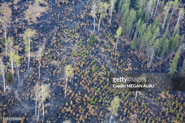 Burnt landscape caused by wildfires is pictured near Entrance, Wild Hay area, Alberta, Canada on May 10, 2023. Canada struggled on May 8 to control...