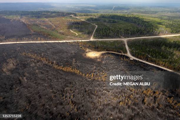 Burnt landscape caused by wildfires is pictured near Entrance, Wild Hay area, Alberta, Canada on May 10, 2023. Canada struggled on May 8 to control...