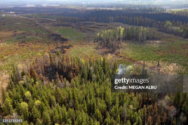 Smoldering trees are pictures among a partially burnt landscape caused by wildfires near Entrance, Wild Hay area, Alberta, Canada on May 10, 2023....