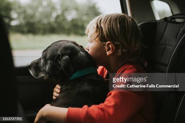 boy and dog looking out of a car window - rijden een motorvoertuig besturen stockfoto's en -beelden