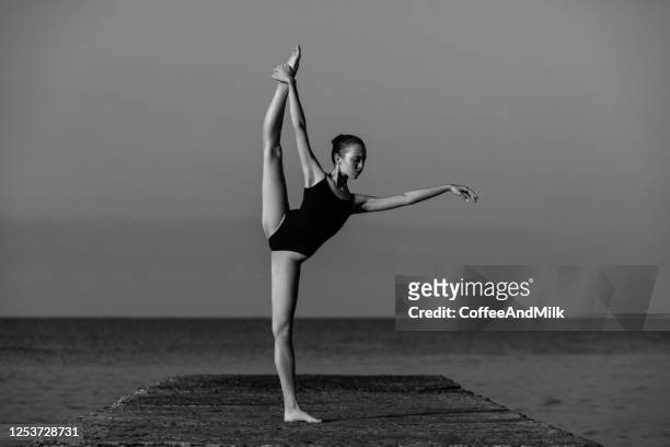 beauty of ballet - ballet dancers russia stock pictures, royalty-free photos & images