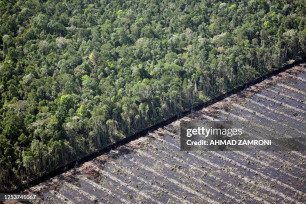 By Aubrey Belford This picture taken 02 November 2007 shows peatland cleared for an acacia plantation in Kampar, outside Pekanbaru, Riau. Riau during...