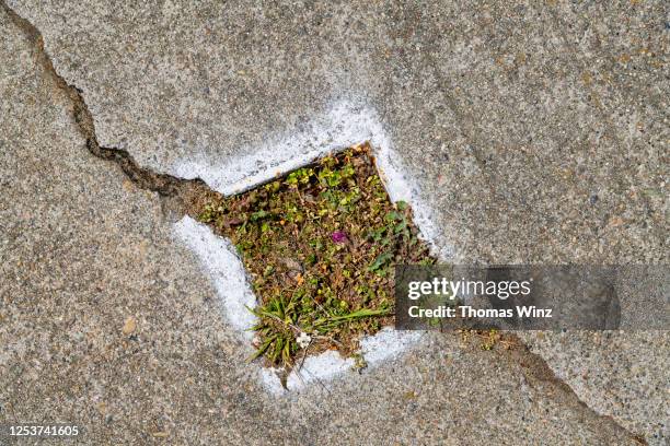 cracked sidewalk - makeshift fix stock pictures, royalty-free photos & images