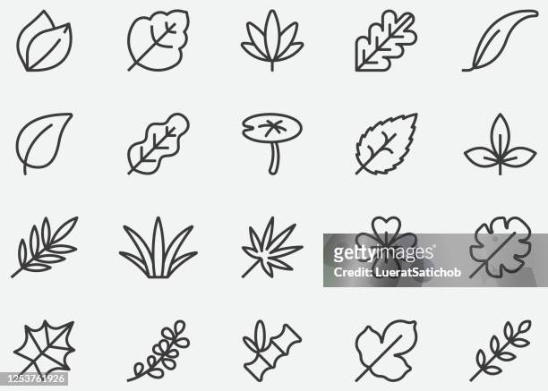 illustrazioni stock, clip art, cartoni animati e icone di tendenza di icone linee foglie - leaf