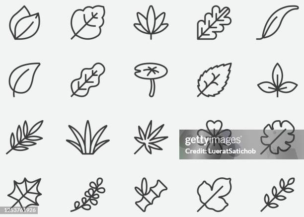 1 040点のミントイラスト素材 Getty Images 1 040点のミントイラスト素材 Getty Images