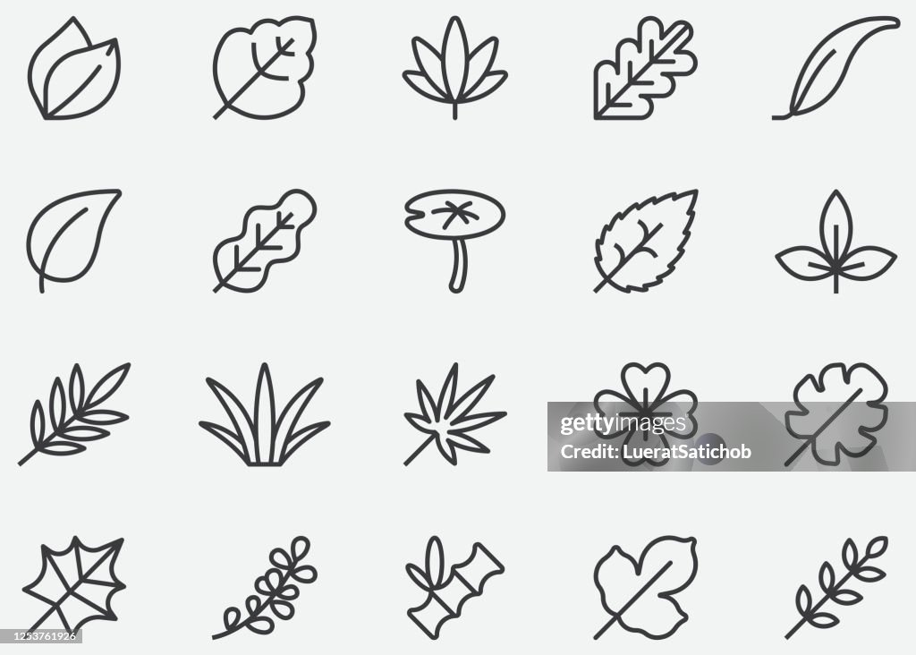 Leaves Line Icons