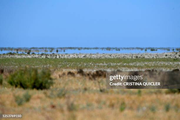 This picture taken on May 11, 2023 shows scorched fields, at the Donana National Park in Aznalcaraz, southern Spain. Spain's government today...