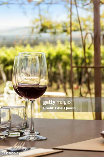 wine tourism, vineyards, landscapes and glasses in open air. - malbec stock pictures, royalty-free photos & images