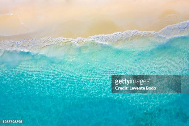 aerial view of sandy tropical beach in summer. aerial landscape of sandy beach and ocean with waves, view from drone or airplane. nature environment, peaceful bright zen, freedom scene - wasserrand stock-fotos und bilder
