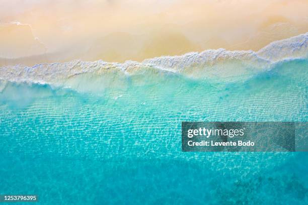 aerial view of sandy tropical beach in summer. aerial landscape of sandy beach and ocean with waves, view from drone or airplane. nature environment, peaceful bright zen, freedom scene - vacaciones de sol y playa fotografías e imágenes de stock