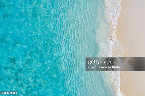 aerial view of sandy tropical beach in summer. aerial landscape of sandy beach and ocean with waves, view from drone or airplane. nature environment, peaceful bright zen, freedom scene - bahamas aerial bildbanksfoton och bilder