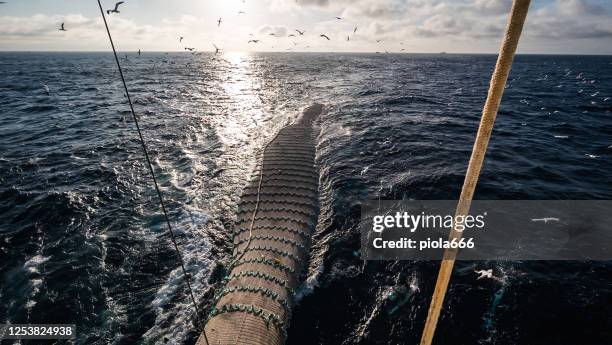 Trawl Industrial Fishing Net High-Res Stock Photo - Getty Images