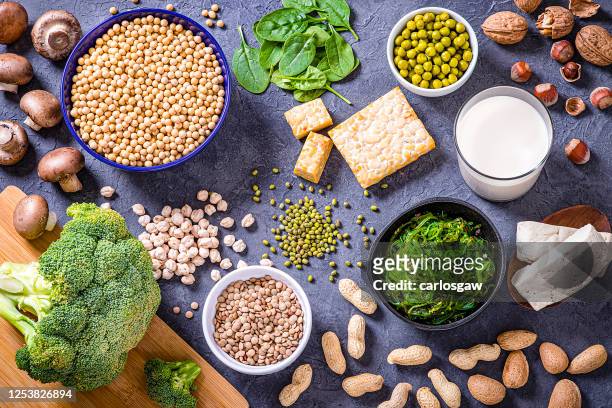 verschillende soorten veganistische eiwitbronnen - protein stockfoto's en -beelden