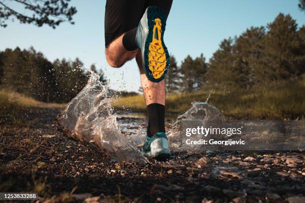 jogging matutino en un bosque - off road racing fotografías e imágenes de stock