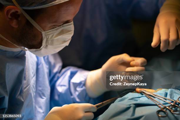 primer plano del cirujano haciendo puntos durante la cirugía - sutura fotografías e imágenes de stock