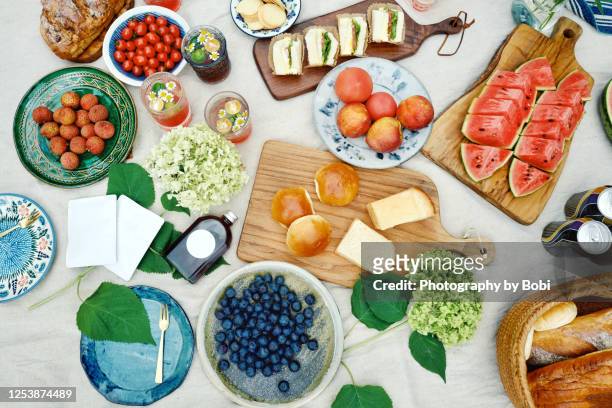 summer picnic on blanket with food and fruit - picnic blanket top view stock pictures, royalty-free photos & images