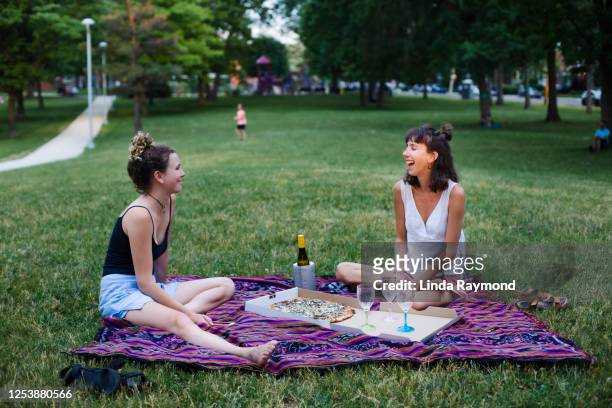 picnic at the park - friends picnic stock pictures, royalty-free photos & images