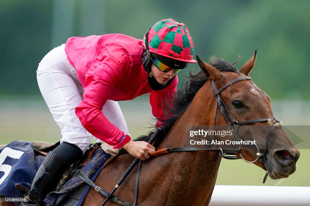 Wolverhampton Races